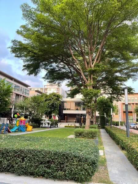 Baan Klang Muang Ratchayothin, Bangkok, 464 Phahonyothin Alley, Sena Nikhom, Chatuchak, Bangkok, 3 Bedrooms, 263 sqm, Townhouse For Sale, by Nitchakarn Wanitwichakornkit, 500518465 - DDproperty.com
