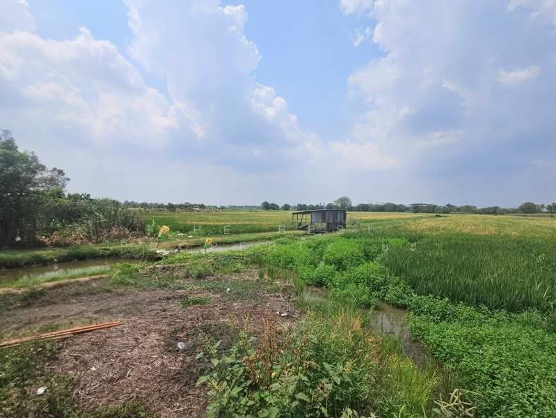 ที่ดินท่าเรือ พระนครศรีอยุธยา, Phra Nakhon Si Ayutthaya, Pak Tha, Tha Rua, Phra Nakhon Si Ayutthaya, , 19,536 sqm, Land For Sale, by The Best Property ยะ, 500518483 - DDproperty.com