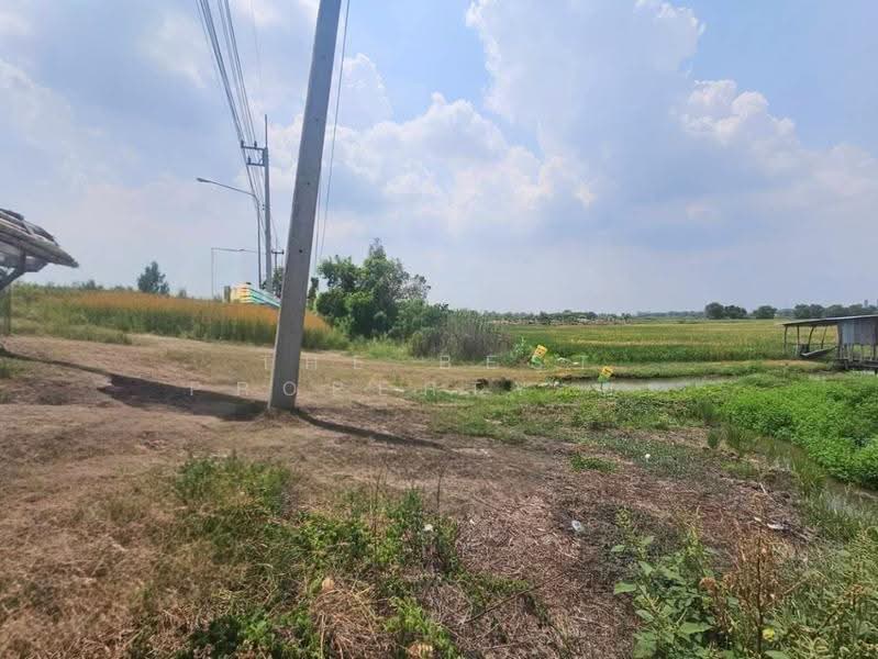 ที่ดินท่าเรือ พระนครศรีอยุธยา, Phra Nakhon Si Ayutthaya, Pak Tha, Tha Rua, Phra Nakhon Si Ayutthaya, , 19,536 sqm, Land For Sale, by The Best Property ยะ, 500518483 - DDproperty.com