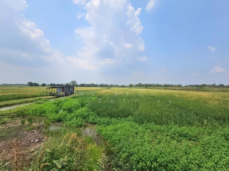ที่ดินท่าเรือ พระนครศรีอยุธยา, Phra Nakhon Si Ayutthaya, Pak Tha, Tha Rua, Phra Nakhon Si Ayutthaya, , 19,536 sqm, Land For Sale, by The Best Property ยะ, 500518483 - DDproperty.com