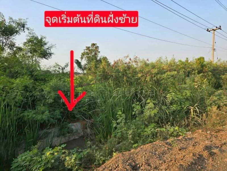 ที่ดินท่าเรือ พระนครศรีอยุธยา, พระนครศรีอยุธยา, ปากท่า, ท่าเรือ, พระนครศรีอยุธยา, 19,536 ตร.ม., ที่ดิน ขาย, โดย The Best Property ยะ, 500518483 - DDproperty.com