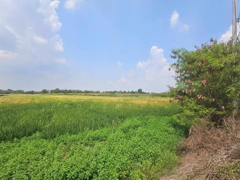 ที่ดินท่าเรือ พระนครศรีอยุธยา, Phra Nakhon Si Ayutthaya, Pak Tha, Tha Rua, Phra Nakhon Si Ayutthaya, , 19,536 sqm, Land For Sale, by The Best Property ยะ, 500518483 - DDproperty.com