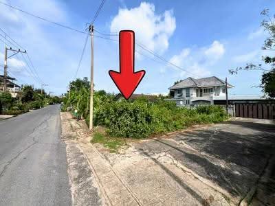 ขาย - ขายที่ดินลำลูกกา 11 (ซอยแก้วขวัญ), ปทุมธานี