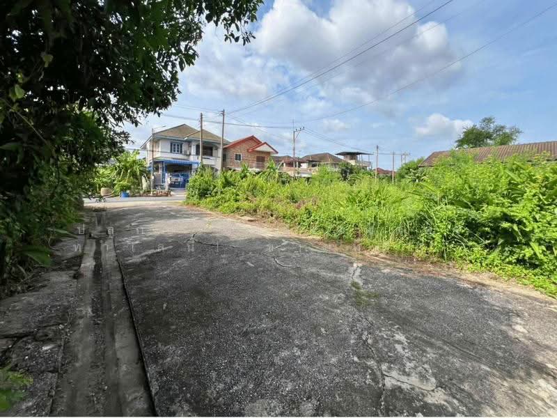 ขายที่ดินลำลูกกา 11 (ซอยแก้วขวัญ), ปทุมธานี, คูคต, ลำลูกกา, ปทุมธานี, 348 ตร.ม., ที่ดิน ขาย, โดย คุณพี, 500518534 - DDproperty.com