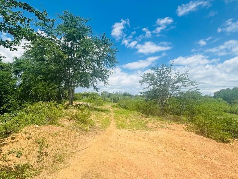 ที่ดินปราณบุรี ประจวบคีรีขันธ์, ประจวบคีรีขันธ์, ปราณบุรี, ประจวบคีรีขันธ์, 17,496 ตร.ม., ที่ดิน ขาย, โดย The Best Property ชมพู่, 500518592 - DDproperty.com