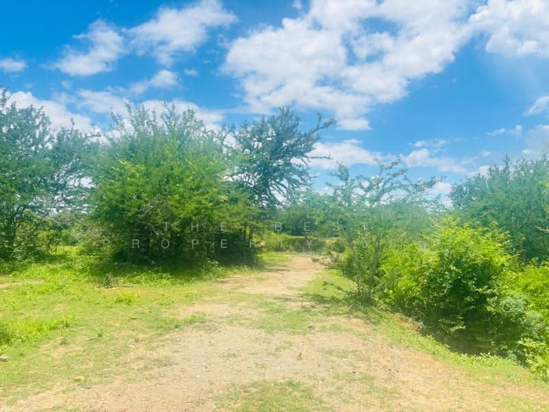 ที่ดินปราณบุรี ประจวบคีรีขันธ์, Prachuap Khiri Khan, Pran Buri, Prachuap Khiri Khan, , 17,496 sqm, Land For Sale, by The Best Property ชมพู่, 500518592 - DDproperty.com