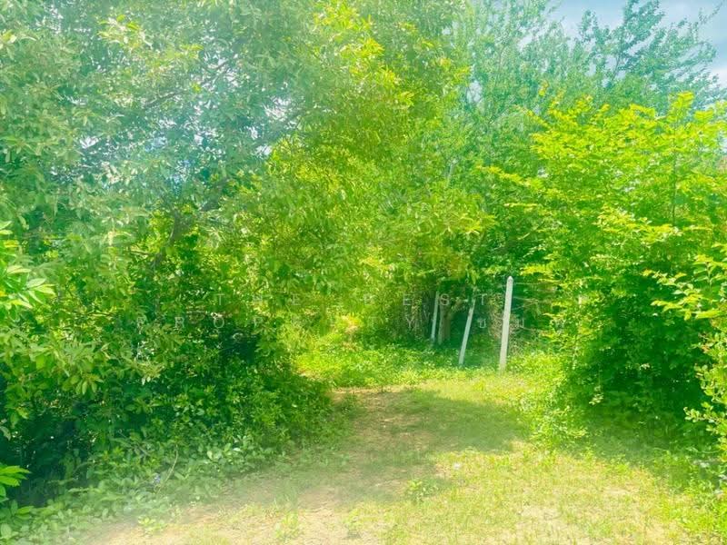 ที่ดินปราณบุรี ประจวบคีรีขันธ์, ประจวบคีรีขันธ์, ปราณบุรี, ประจวบคีรีขันธ์, 17,496 ตร.ม., ที่ดิน ขาย, โดย The Best Property ชมพู่, 500518592 - DDproperty.com