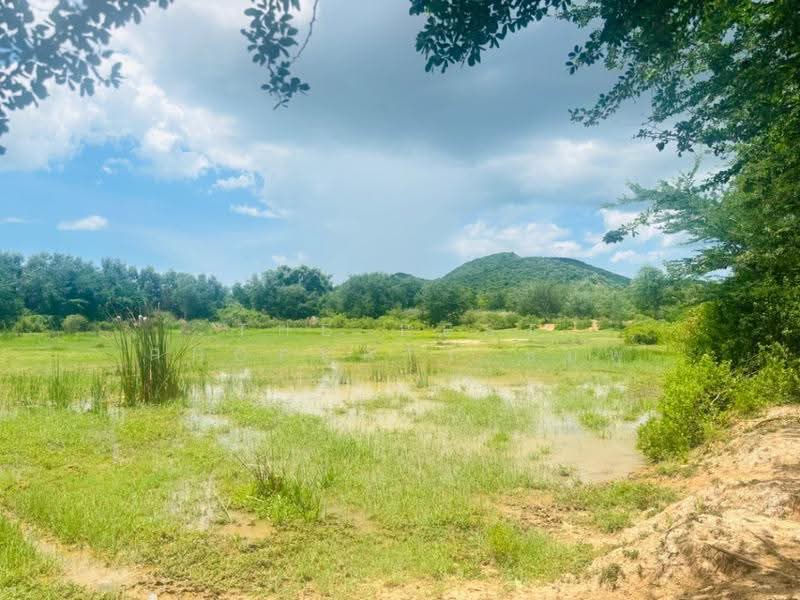 ที่ดินปราณบุรี ประจวบคีรีขันธ์, Prachuap Khiri Khan, Pran Buri, Prachuap Khiri Khan, , 17,496 sqm, Land For Sale, by The Best Property ชมพู่, 500518592 - DDproperty.com