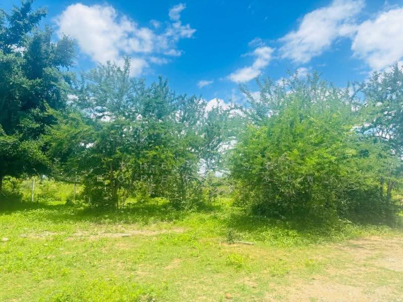 ที่ดินปราณบุรี ประจวบคีรีขันธ์, Prachuap Khiri Khan, Pran Buri, Prachuap Khiri Khan, , 17,496 sqm, Land For Sale, by The Best Property ชมพู่, 500518592 - DDproperty.com
