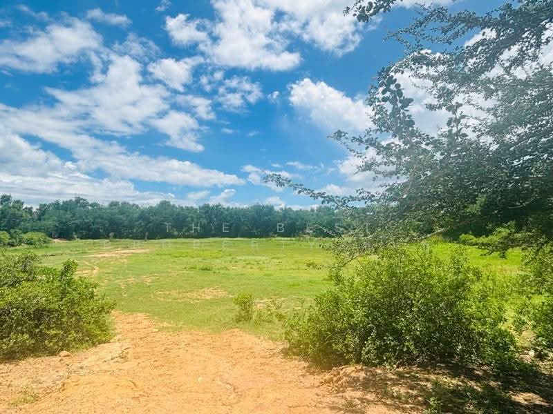 ที่ดินปราณบุรี ประจวบคีรีขันธ์, ประจวบคีรีขันธ์, ปราณบุรี, ประจวบคีรีขันธ์, 17,496 ตร.ม., ที่ดิน ขาย, โดย The Best Property ชมพู่, 500518592 - DDproperty.com