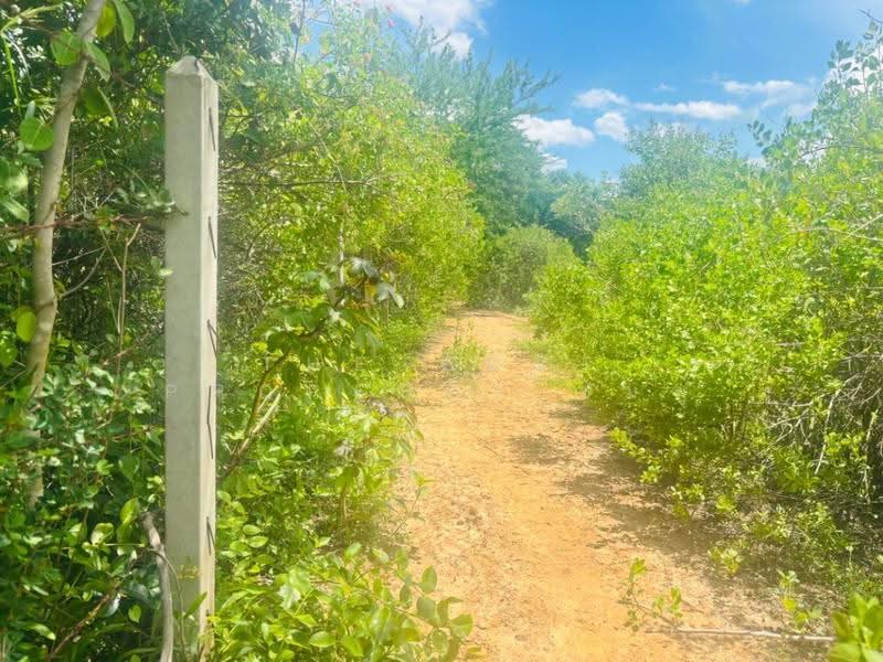 ที่ดินปราณบุรี ประจวบคีรีขันธ์, Prachuap Khiri Khan, Pran Buri, Prachuap Khiri Khan, , 17,496 sqm, Land For Sale, by The Best Property ชมพู่, 500518592 - DDproperty.com