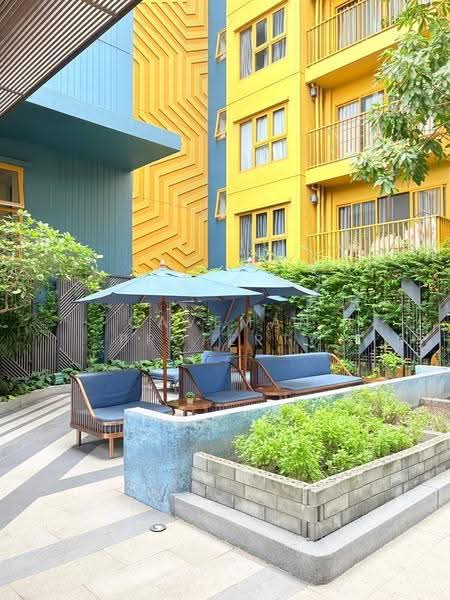 The Base Sukhumvit 50 : เดอะ เบส สุขุมวิท 50, กรุงเทพ, ซอยเริ่มเจริญ แยก 1 ถนนสุขุมวิท 50, พระโขนง, คลองเตย, กรุงเทพ, 35 ตร.ม., Condo ให้เช่า, โดย Caveman Property, 500518737 - DDproperty.com