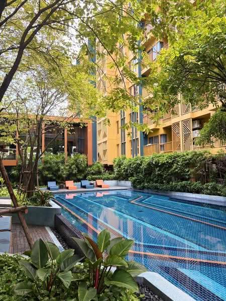The Base Sukhumvit 50 : เดอะ เบส สุขุมวิท 50, กรุงเทพ, ซอยเริ่มเจริญ แยก 1 ถนนสุขุมวิท 50, พระโขนง, คลองเตย, กรุงเทพ, 35 ตร.ม., Condo ให้เช่า, โดย Caveman Property, 500518737 - DDproperty.com