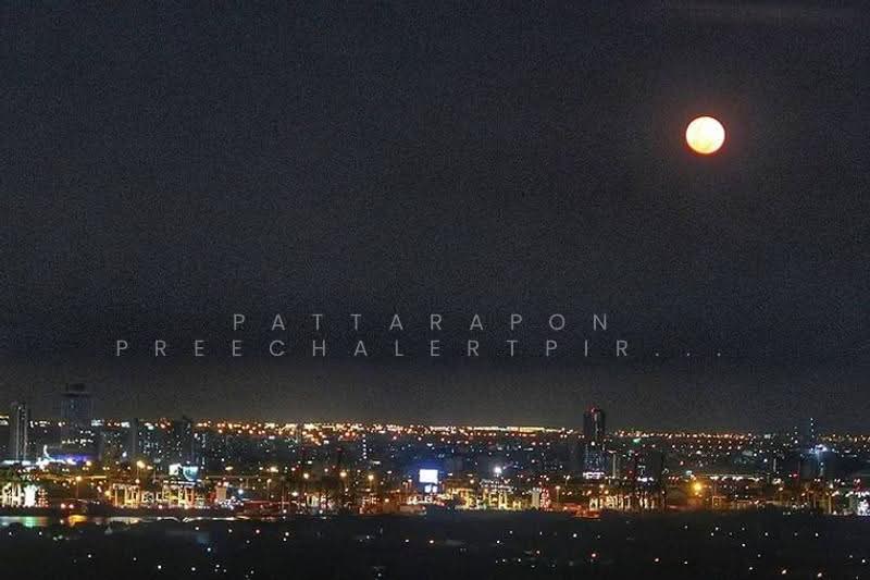 Supalai Prima Riva (Residential), Bangkok, Rama 3 Road, Chong Nonsi, Yan Nawa, Bangkok, 1 Bedroom, 63 sqm, Condo For Sale, by Pattarapon Preechalertpiriya, 500518749 - DDproperty.com