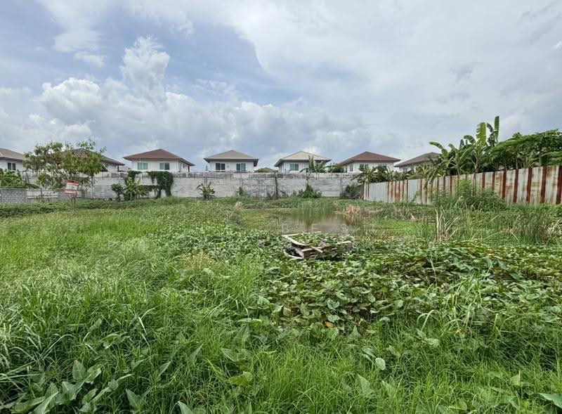 ที่ดินประชาอุทิศ90 สมุทรปราการ, Samut Prakan, Ban Khlong Suan, Phra Samut Jadee, Samut Prakan, , 400 sqm, Land For Sale, by The Best Property เล็ก, 500518768 - DDproperty.com