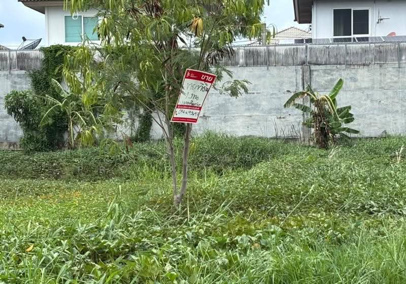 ที่ดินประชาอุทิศ90 สมุทรปราการ, Samut Prakan, Ban Khlong Suan, Phra Samut Jadee, Samut Prakan, , 400 sqm, Land For Sale, by The Best Property เล็ก, 500518768 - DDproperty.com