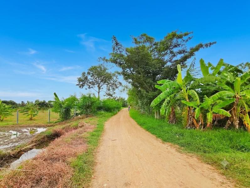 ที่ดินบ้านโป่ง ราชบุรี, Ratchaburi, Lat Bua Khao, Ban Pong, Ratchaburi, , 2,752 sqm, Land For Sale, by The Best Property โอ็ต, 500518792 - DDproperty.com