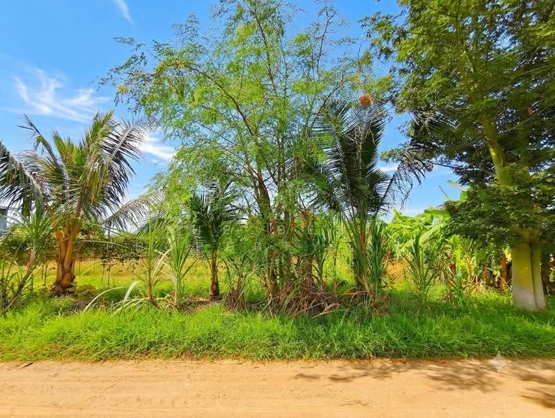 ที่ดินบ้านโป่ง ราชบุรี, Ratchaburi, Lat Bua Khao, Ban Pong, Ratchaburi, , 2,752 sqm, Land For Sale, by The Best Property โอ็ต, 500518792 - DDproperty.com