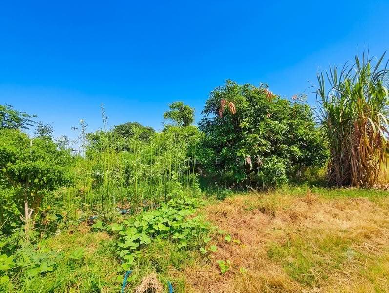 ที่ดินบ้านโป่ง ราชบุรี, ราชบุรี, ลาดบัวขาว, บ้านโป่ง, ราชบุรี, 2,752 ตร.ม., ที่ดิน ขาย, โดย The Best Property โอ็ต, 500518792 - DDproperty.com