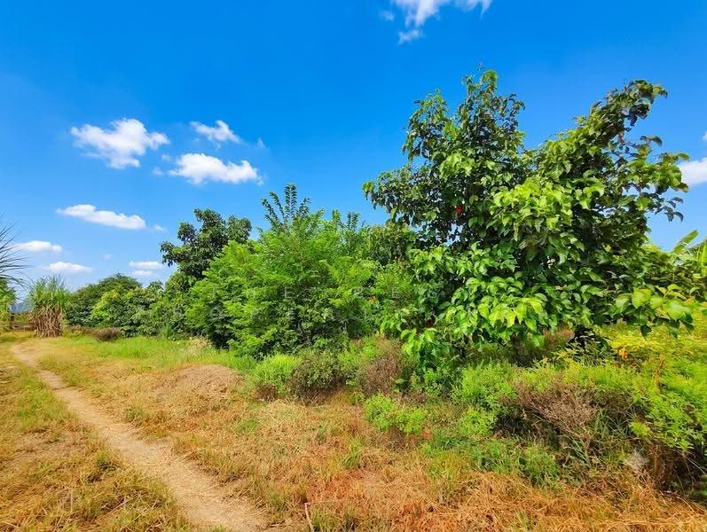 ที่ดินบ้านโป่ง ราชบุรี, ราชบุรี, ลาดบัวขาว, บ้านโป่ง, ราชบุรี, 2,752 ตร.ม., ที่ดิน ขาย, โดย The Best Property โอ็ต, 500518792 - DDproperty.com