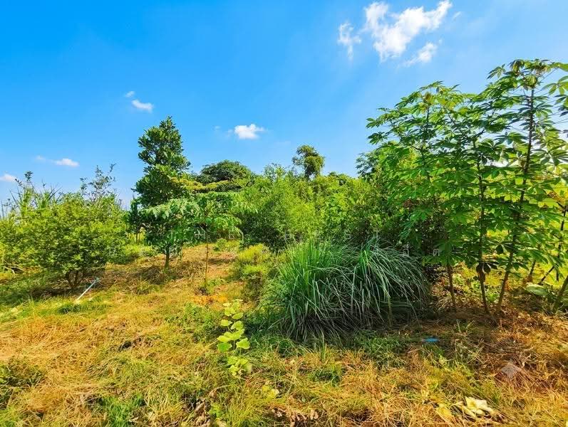 ที่ดินบ้านโป่ง ราชบุรี, ราชบุรี, ลาดบัวขาว, บ้านโป่ง, ราชบุรี, 2,752 ตร.ม., ที่ดิน ขาย, โดย The Best Property โอ็ต, 500518792 - DDproperty.com