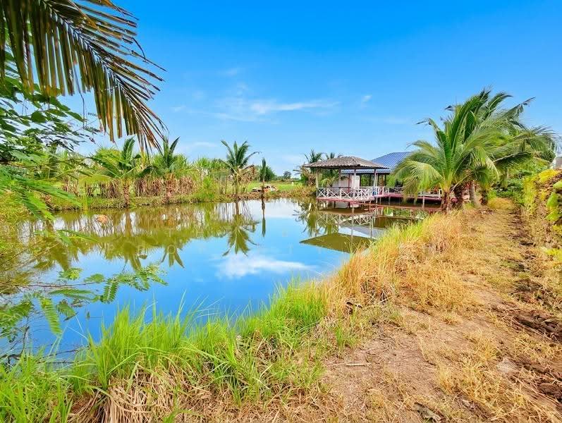 ที่ดินบ้านโป่ง ราชบุรี, Ratchaburi, Lat Bua Khao, Ban Pong, Ratchaburi, , 2,752 sqm, Land For Sale, by The Best Property โอ็ต, 500518792 - DDproperty.com