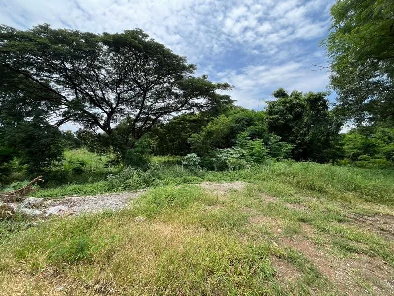 ที่ดินผืนงามติดแม่น้ำป่าสัก 11 ไร่เศษ บรรยากาศพรีเมียม วิวภูเขาเต็มตา, Saraburi, Ban Pa, Kaeng Khoi, Saraburi, , 18,128 sqm, Land For Sale, by ERA Thailand, 500518820 - DDproperty.com
