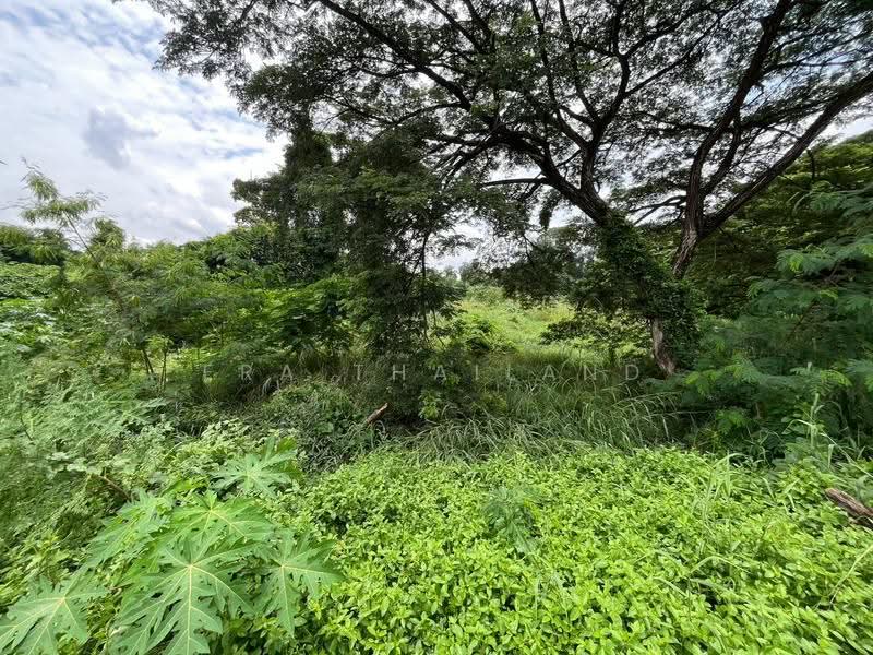 ที่ดินผืนงามติดแม่น้ำป่าสัก 11 ไร่เศษ บรรยากาศพรีเมียม วิวภูเขาเต็มตา, Saraburi, Ban Pa, Kaeng Khoi, Saraburi, , 18,128 sqm, Land For Sale, by ERA Thailand, 500518820 - DDproperty.com