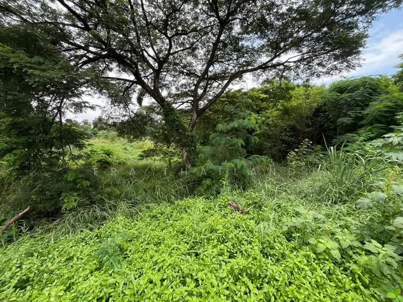 ที่ดินผืนงามติดแม่น้ำป่าสัก 11 ไร่เศษ บรรยากาศพรีเมียม วิวภูเขาเต็มตา, สระบุรี, บ้านป่า, แก่งคอย, สระบุรี, 18,128 ตร.ม., ที่ดิน ขาย, โดย ERA Thailand, 500518820 - DDproperty.com