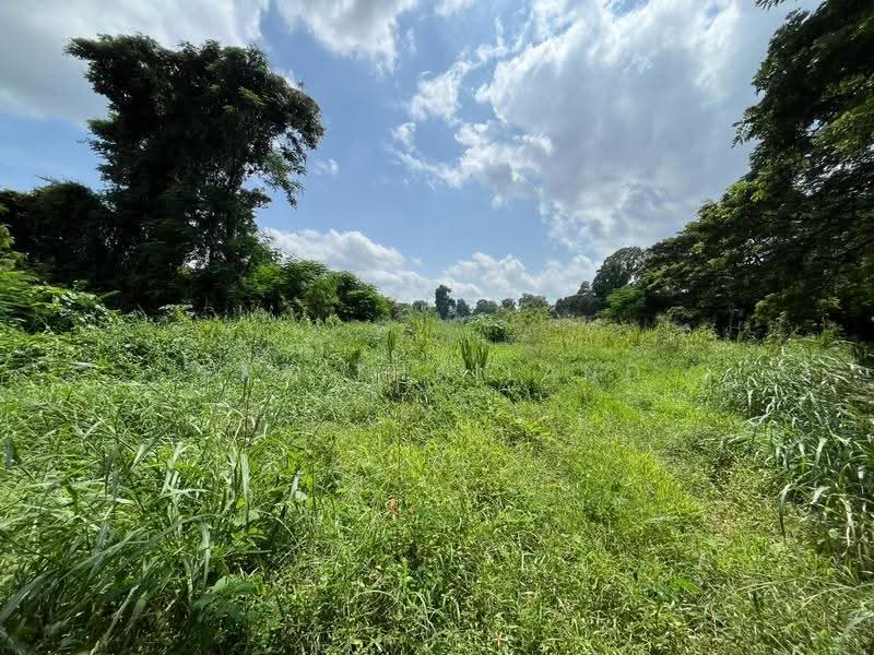 ที่ดินผืนงามติดแม่น้ำป่าสัก 11 ไร่เศษ บรรยากาศพรีเมียม วิวภูเขาเต็มตา, สระบุรี, บ้านป่า, แก่งคอย, สระบุรี, 18,128 ตร.ม., ที่ดิน ขาย, โดย ERA Thailand, 500518820 - DDproperty.com