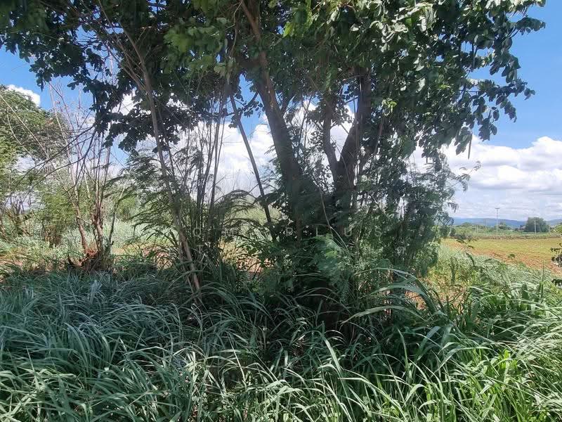 3 Rai, Adjacent to Highway M6, Khanong Phra, Nakhon Ratchasima, Khanong Phra, Pak Chong, Nakhon Ratchasima, , 5,083 sqm, Land For Sale, by HOMEPLUS REALTY - คุณต่าย, 500518849 - DDproperty.com
