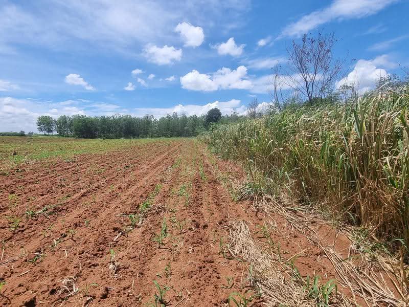 3 Rai, Adjacent to Highway M6, Khanong Phra, Nakhon Ratchasima, Khanong Phra, Pak Chong, Nakhon Ratchasima, , 5,083 sqm, Land For Sale, by HOMEPLUS REALTY - คุณต่าย, 500518849 - DDproperty.com