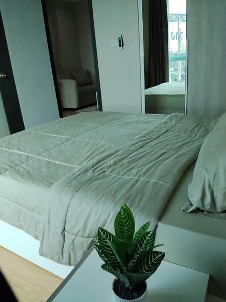 One Plus Mahidol 5, Chiang Mai, Nong Hoi, Muang Chiang Mai, Chiang Mai, 1 Bedroom, 32 sqm, Condo For Rent, by The Positive ที่ดิน บ้าน คอนโด, 500518895 - DDproperty.com