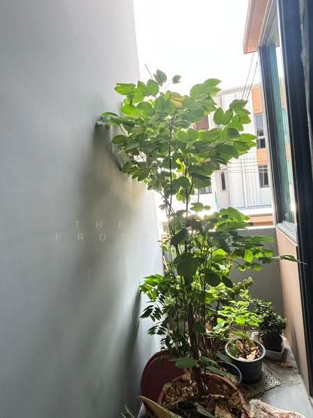 บ้านกลางเมือง สาทร-กัลปพฤกษ์, Bangkok, Bang Wa, Phasi Charoen, Bangkok, 3 Bedrooms, 148 sqm, Townhouse For Sale, by The Best Property นะ, 500518902 - DDproperty.com
