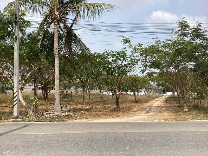 ที่ดิน 2 ไร่ หนองปลาไหล บางละมุง พัทยา, Chon Buri (Pattaya), Nong Pla Lai, Bang Lamung (Pattaya), Chon Buri (Pattaya), , 3,200 sqm, Land For Sale, by A.T.A. Property, 500518904 - DDproperty.com