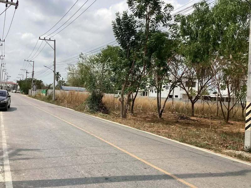 ที่ดิน 2 ไร่ หนองปลาไหล บางละมุง พัทยา, ชลบุรี, หนองปลาไหล, บางละมุง, ชลบุรี, 3,200 ตร.ม., ที่ดิน ขาย, โดย A.T.A. Property, 500518904 - DDproperty.com