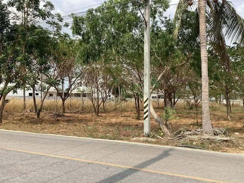 ที่ดิน 2 ไร่ หนองปลาไหล บางละมุง พัทยา, Chon Buri (Pattaya), Nong Pla Lai, Bang Lamung (Pattaya), Chon Buri (Pattaya), , 3,200 sqm, Land For Sale, by A.T.A. Property, 500518904 - DDproperty.com