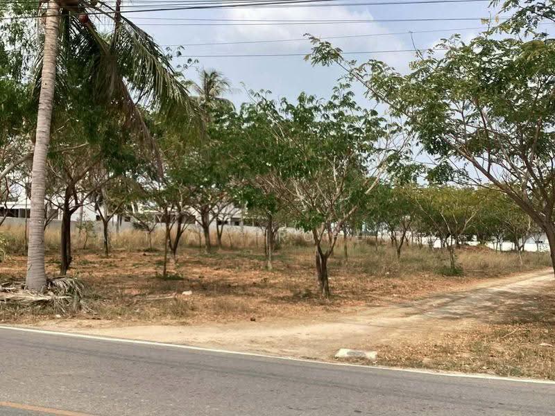 ที่ดิน 2 ไร่ หนองปลาไหล บางละมุง พัทยา, Chon Buri (Pattaya), Nong Pla Lai, Bang Lamung (Pattaya), Chon Buri (Pattaya), , 3,200 sqm, Land For Sale, by A.T.A. Property, 500518904 - DDproperty.com