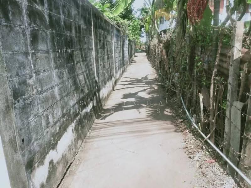 3-BR House, Bangkok, Nong Bon, Prawet, Bangkok, 3 Bedrooms, 240 sqm, Single Detached House For Sale, by Supitcha Wongisaraseri, 500518934 - DDproperty.com