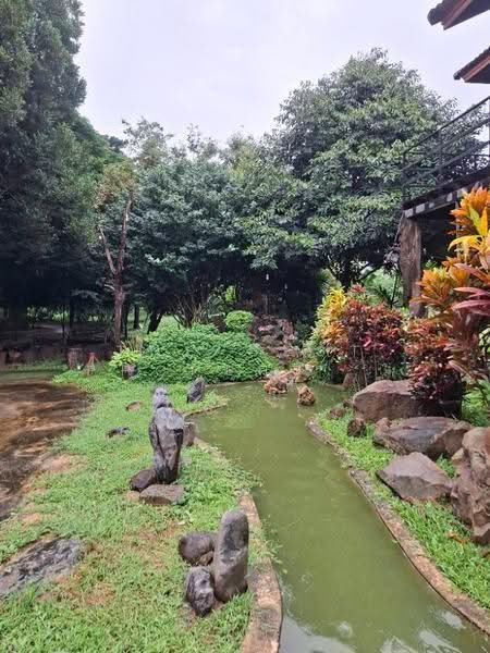 โรงแรมรอบเวียง เชียงราย, เชียงราย, รอบเวียง, เมืองเชียงราย, เชียงราย, 200 ตร.ม., บ้านเดี่ยว ขาย, โดย The Best Property ไนล์, 500518940 - DDproperty.com