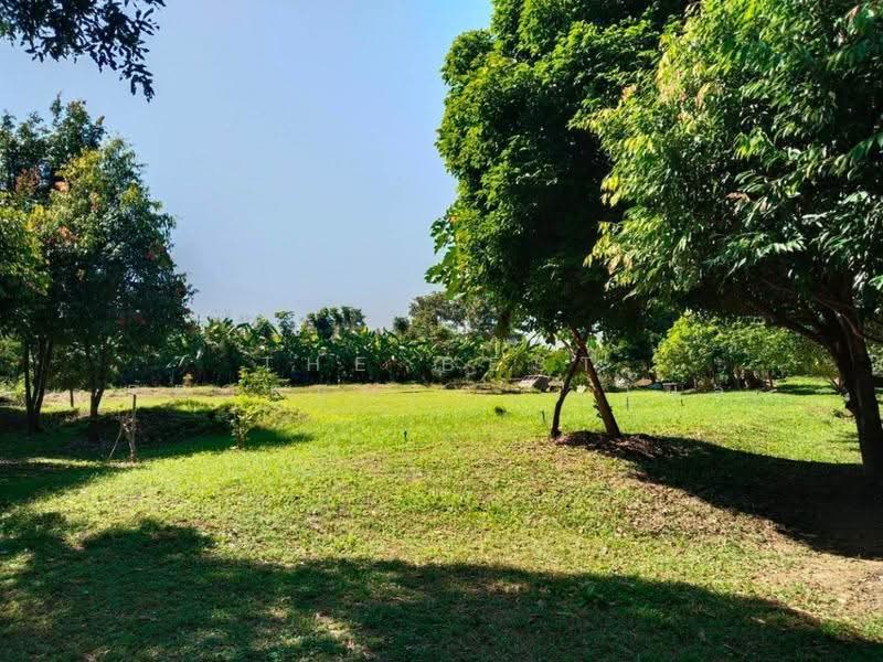 โรงแรมรอบเวียง เชียงราย, เชียงราย, รอบเวียง, เมืองเชียงราย, เชียงราย, 200 ตร.ม., บ้านเดี่ยว ขาย, โดย The Best Property ไนล์, 500518940 - DDproperty.com