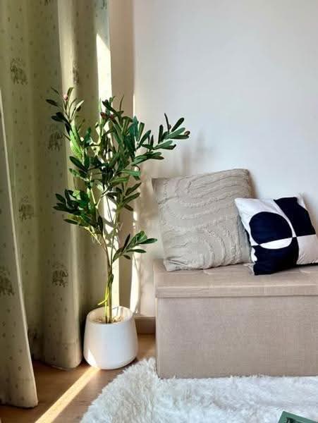 IDEO Sathorn Tha Phra, Bangkok, 221 Ratchaphruek Road, Bukkalo, Thon Buri, Bangkok, 2 Bedrooms, 46 sqm, Condo For Rent, by Vinai Wattana, 500518943 - DDproperty.com