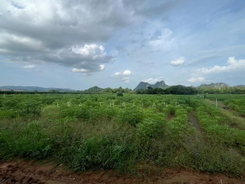 ขายที่ดินแปลงสวย เนื้อที่ 35 ไร่ 3 งาน 80 ตารางวา, Saraburi, Song Khon, Kaeng Khoi, Saraburi, , 57,520 sqm, Land For Sale, by ERA Thailand, 500518963 - DDproperty.com