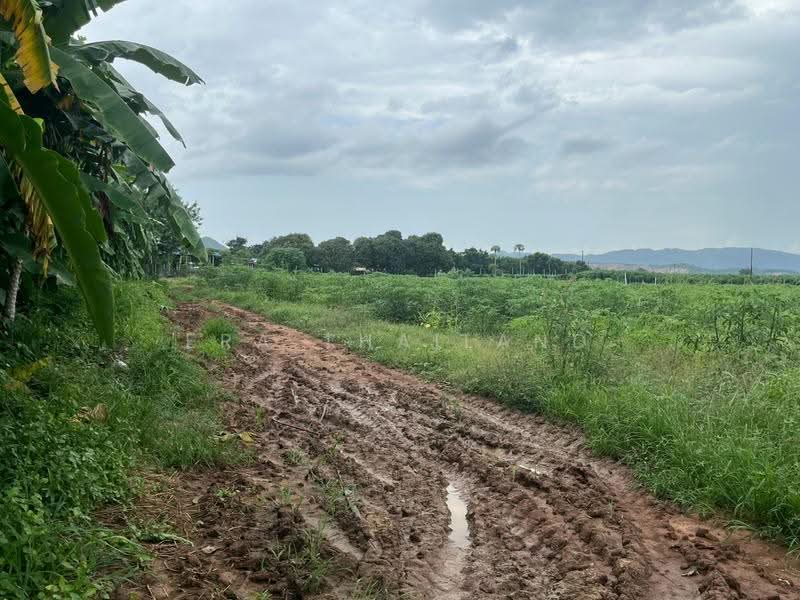 ขายที่ดินแปลงสวย เนื้อที่ 35 ไร่ 3 งาน 80 ตารางวา, Saraburi, Song Khon, Kaeng Khoi, Saraburi, , 57,520 sqm, Land For Sale, by ERA Thailand, 500518963 - DDproperty.com