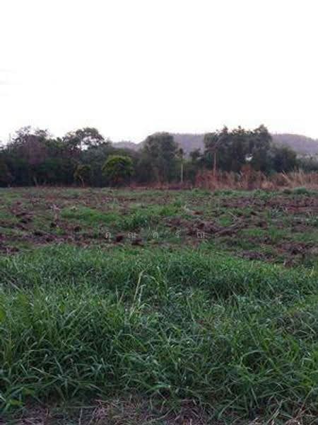 land for sell, Nakhon Sawan, Yang Tan, Krok Phra, Nakhon Sawan, , 8,508 sqm, Land For Sale, by คุณดรัณ, 500519288 - DDproperty.com