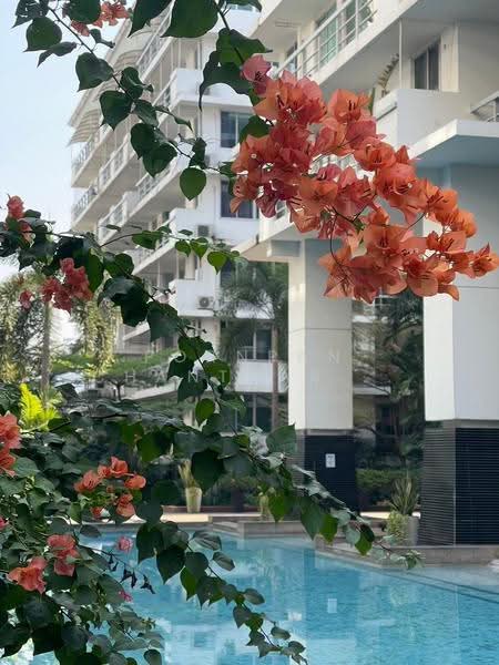 The Waterford Sukhumvit 50, Bangkok, 890 Soi Sukhumvit 50, Phra Kanong, Khlong Toei, Bangkok, 3 Bedrooms, 152 sqm, Condo For Sale, by Pornpan Chantharakasemchai, 500519565 - DDproperty.com