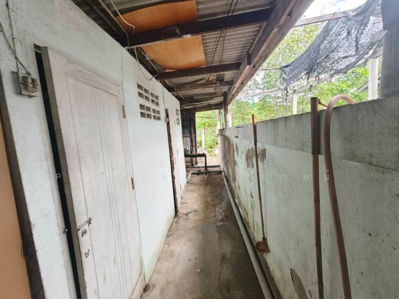 บ้านเดี่ยวบางปะกง ฉะเชิงเทรา, ฉะเชิงเทรา, ท่าสะอ้าน, บางปะกง, ฉะเชิงเทรา, 150 ตร.ม., บ้านเดี่ยว ขาย, โดย The Best Property ซายน์, 500519706 - DDproperty.com