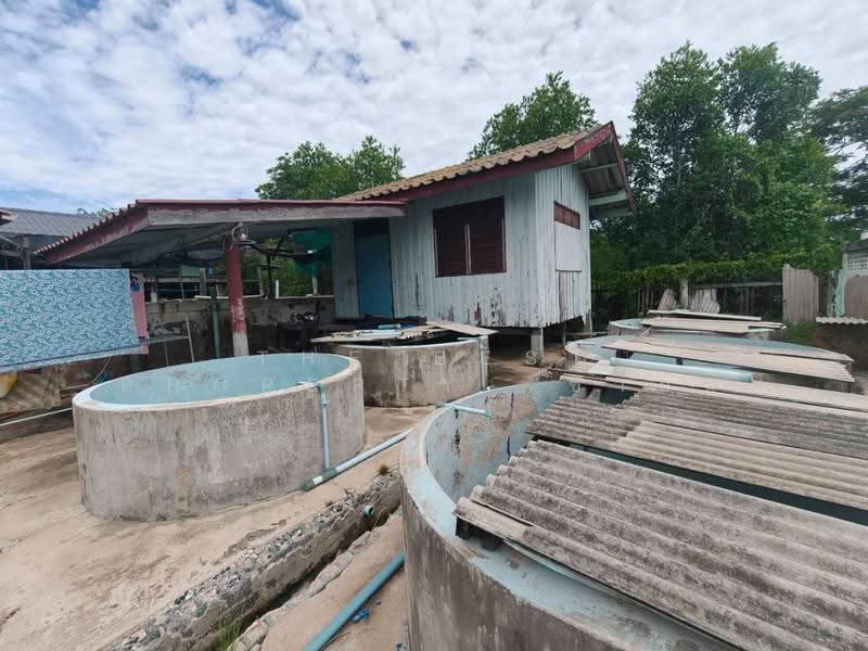 บ้านเดี่ยวบางปะกง ฉะเชิงเทรา, Chachoengsao, Tha Sa-an, Bang Pakong, Chachoengsao, 4 Bedrooms, 150 sqm, Single Detached House For Sale, by The Best Property ซายน์, 500519706 - DDproperty.com
