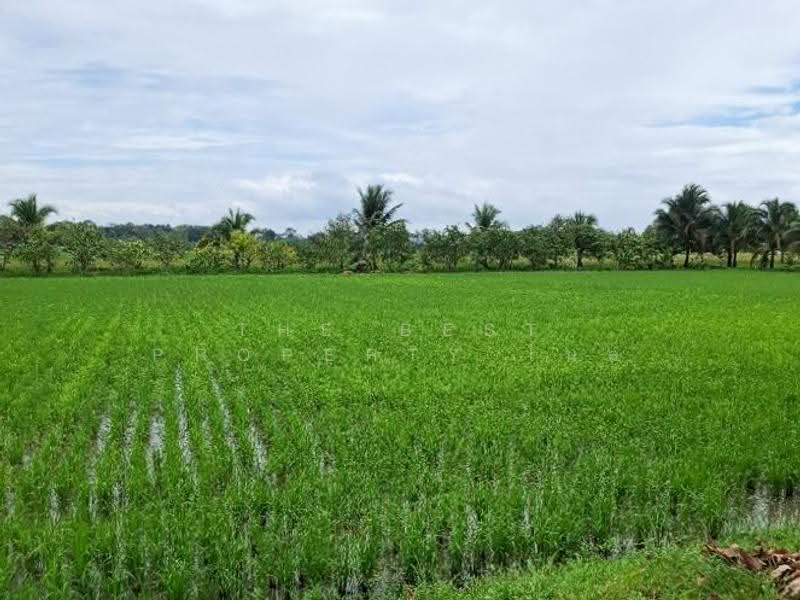 ที่ดินเวียงเชียงรุ้ง เชียงราย, Chiang Rai, Thung Ko, Wieng Chiang Rung, Chiang Rai, , 29,612 sqm, Land For Sale, by The Best Property ไนล์, 500519707 - DDproperty.com