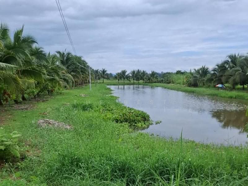 ที่ดินเวียงเชียงรุ้ง เชียงราย, Chiang Rai, Thung Ko, Wieng Chiang Rung, Chiang Rai, , 29,612 sqm, Land For Sale, by The Best Property ไนล์, 500519707 - DDproperty.com